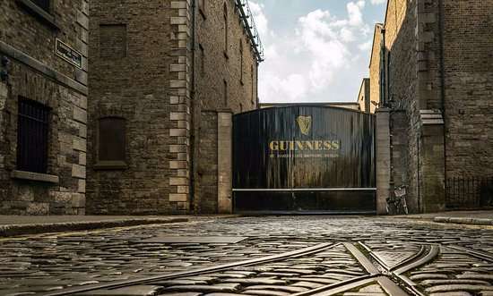 Learning to love Guinness in the Dublin Guinness Storehouse