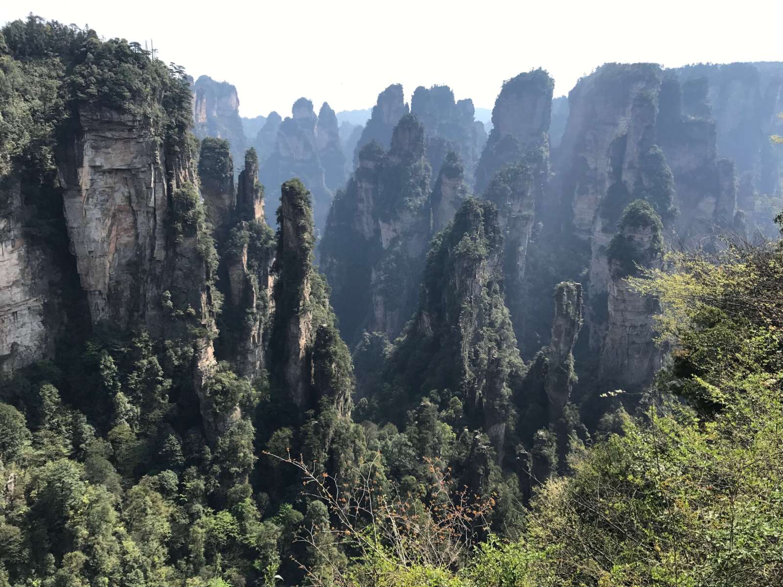 Hiking the stunning Zhangjiajie National Park