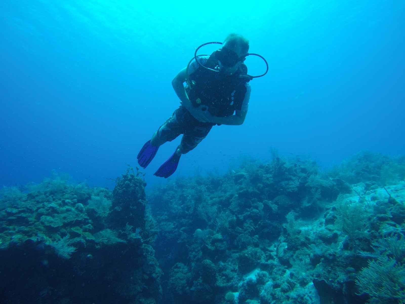 Scuba diving at Maria la Gorda